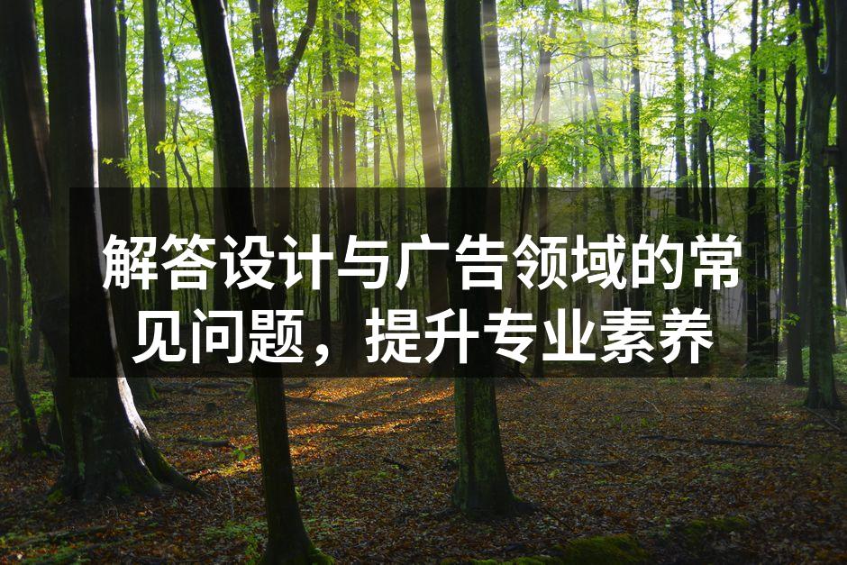 设计理念的探索与灵感
